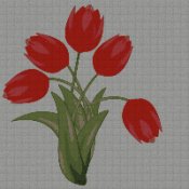 tulipano_tulipani_1s