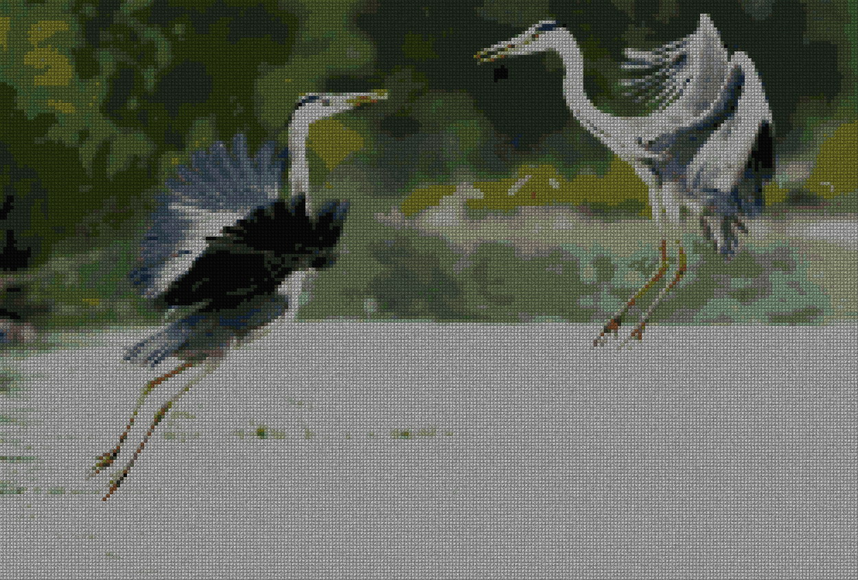 schemi_misti/animali_aria/aironi_1s.jpg