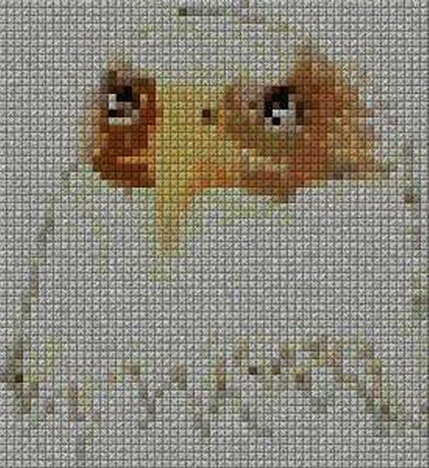 schemi_misti/animali_aria/schemi_animali_171.JPG