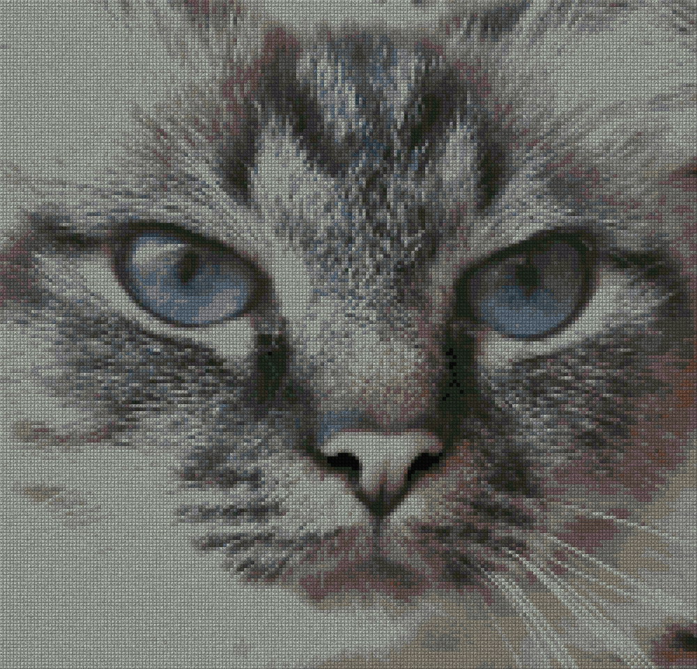 schemi_misti/animali_terra/micio_gatto_05.jpg