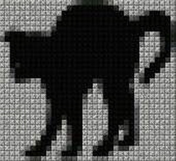 schemi_misti/animali_terra/schemi_animali_263.JPG