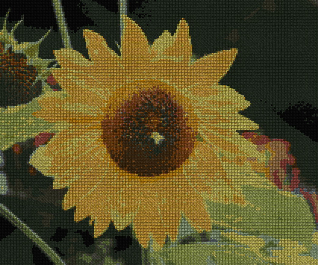 schemi_misti/fiori/girasole_210x175.jpg