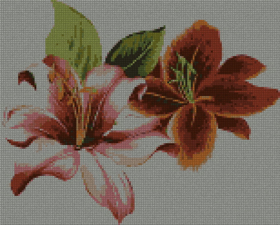 schemi_misti/fiori/orchidea-154x124.jpg