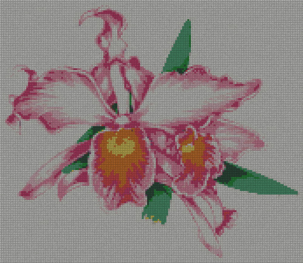 schemi_misti/fiori/orchidea02s.jpg