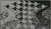 pittori_moderni/escher/escher-giorno-notte-300.jpg