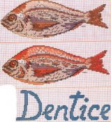 pesce_dentice