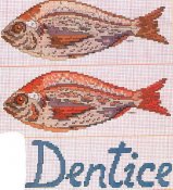 schemi_misti/animali_acqua/pesce_dentice.jpg