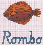 pesce_rombo