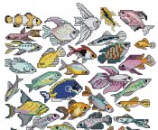 pesci pesce_007
