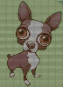 chihuahua100