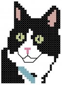 gattino_004