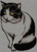 gatto_265