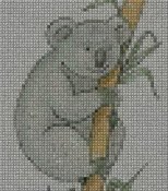 koala_282