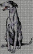 cane_289