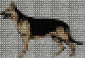 cane_339