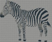 zebra200