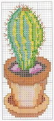 schemi_misti/fiori/cactus-4.jpg