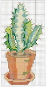 schemi_misti/fiori/cactus-5.jpg