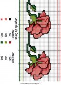 fiori_36