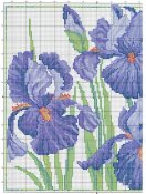 schemi_misti/fiori/iris_2.jpg