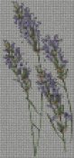 schemi_misti/fiori/lavanda_52x110.jpg