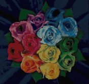 rosecolorate