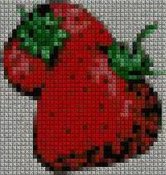 schemi_fiori_frutta_098