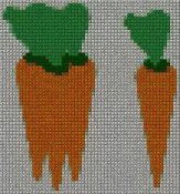 carota carote_143