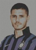 schemi_misti/misti3/icardi-162x220.jpg